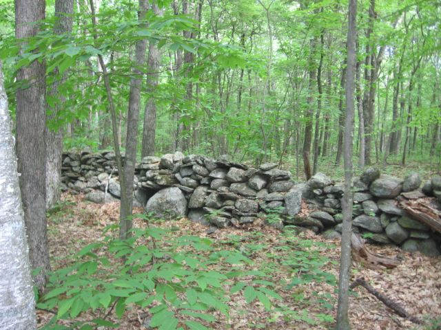 Stonewall in the Forest